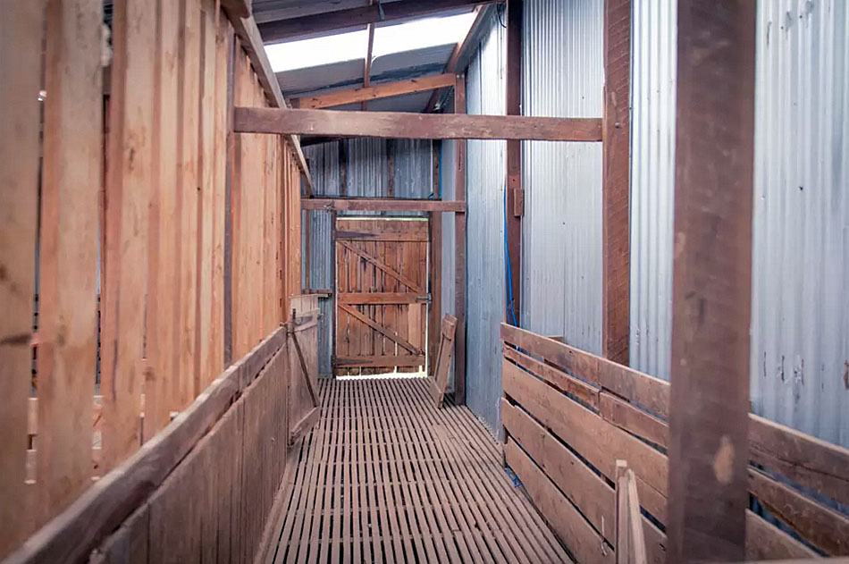 Shearing Shed detail